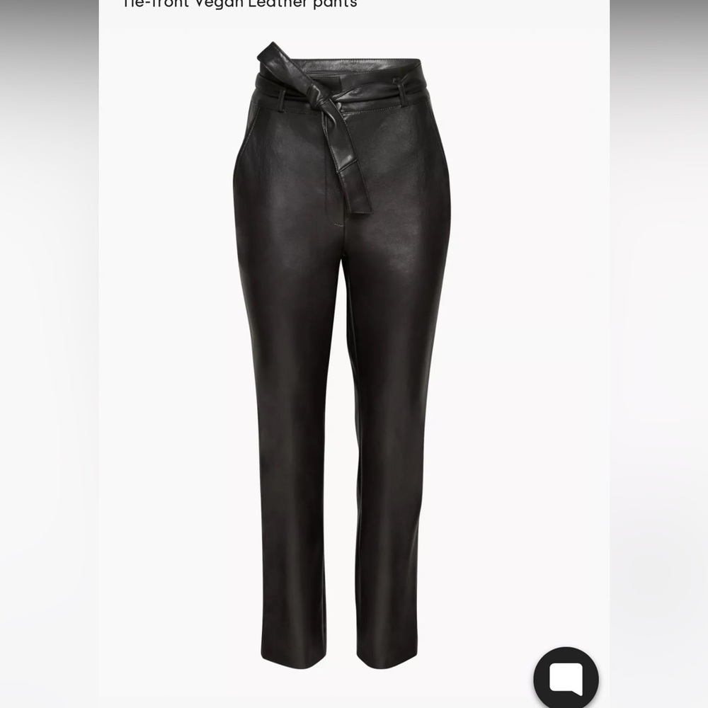 Aritzia Babton leather pants